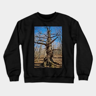 Huge oak tree Crewneck Sweatshirt